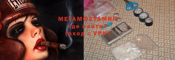 индика Богородицк