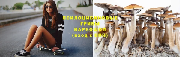 индика Богородицк