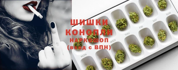 гашик Бородино