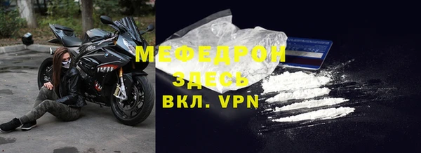 индика Богородицк