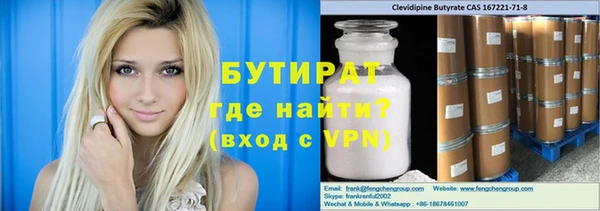 индика Богородицк