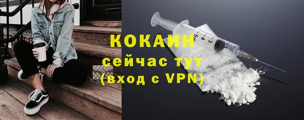 дживик Богданович