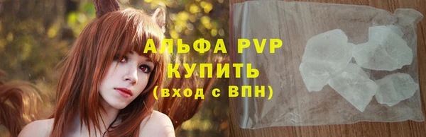индика Богородицк