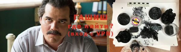 индика Богородицк