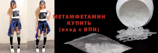 индика Богородицк