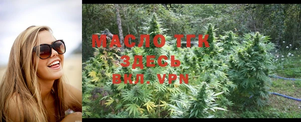 дмт Каменка