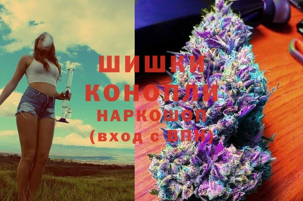 дживик Богданович