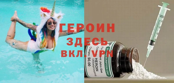 индика Богородицк